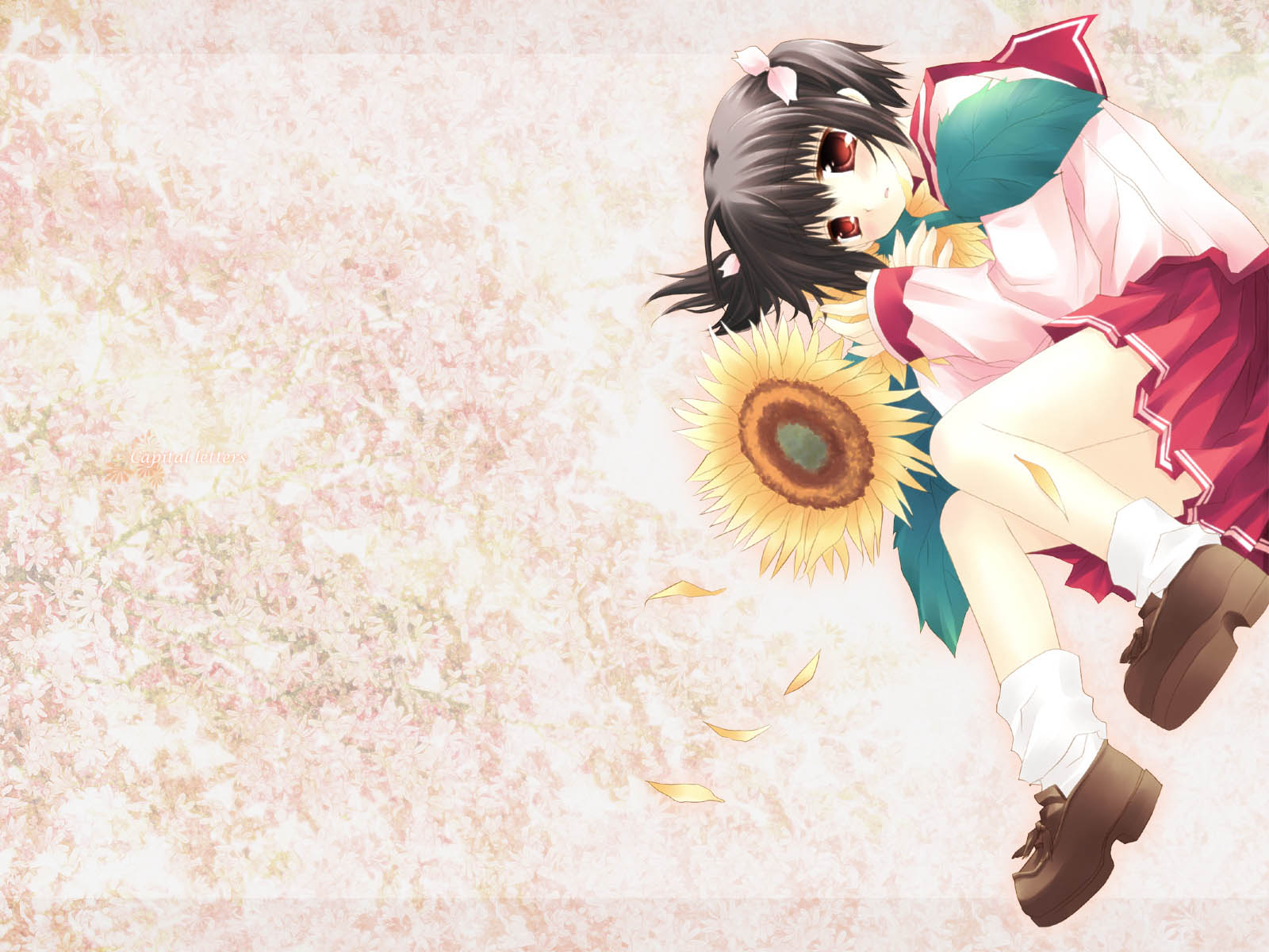 动漫少女壁纸闪耀着青春光芒1600x1200