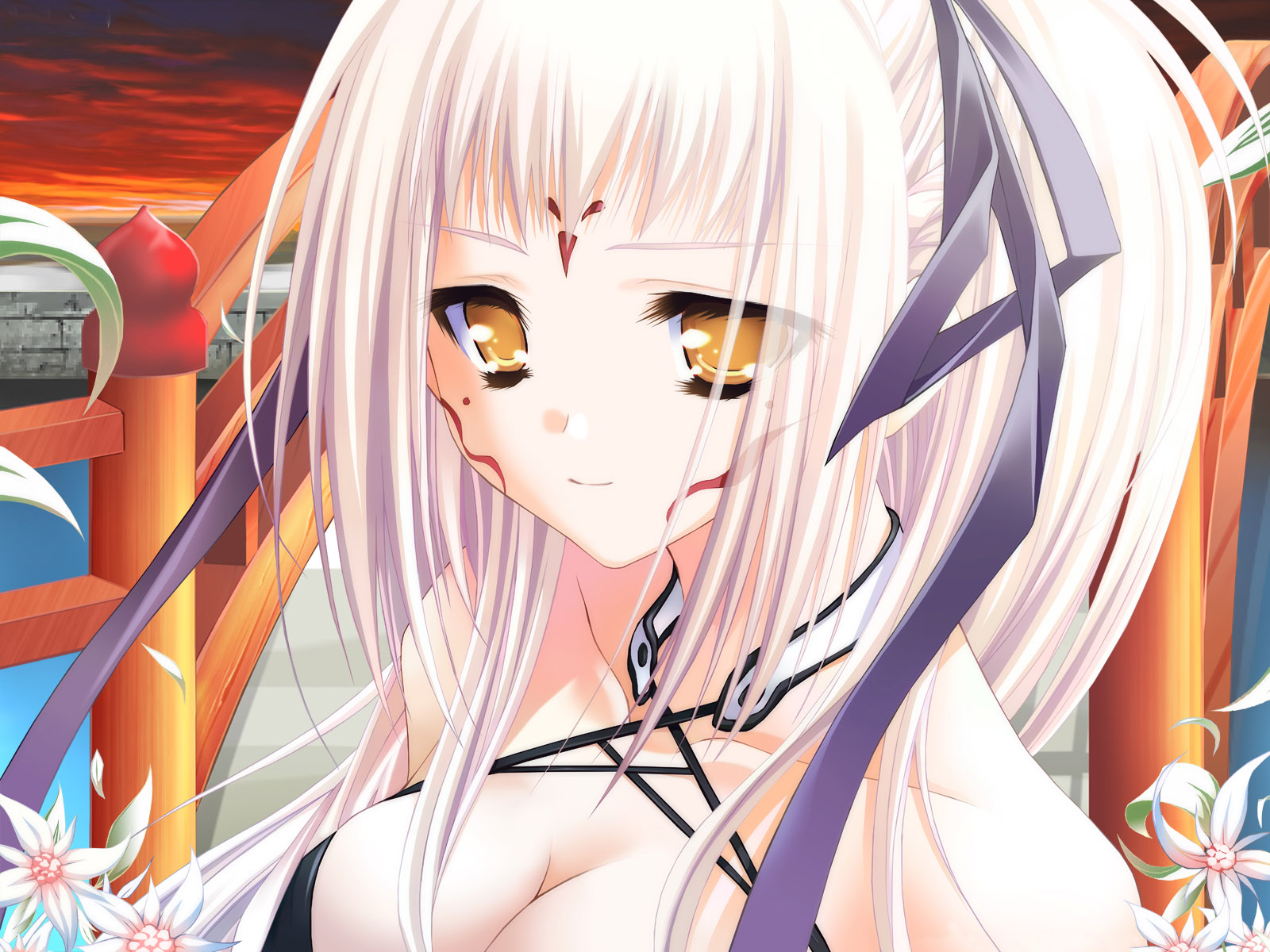 动漫少女壁纸充满了优雅气质1600x1200